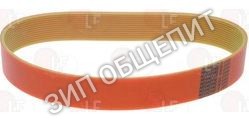 Ремень RIC-CINGHIA-PP10 для картофелечистки PASQUINI PSP700 (10KG)