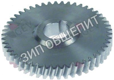 Зубчатое колесо SL0242 Fimar для AB22A, TR22S