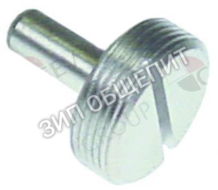 Винт нажимной для дверной петли Lainox для GGMT21P / GGMT21T / GGMT40P / GGMT40T / GGVT21P