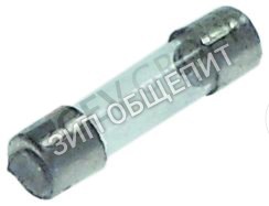 Предохранитель R65200090 Lainox, 0,25А для GMT20P, MG101M, MG101P, MG101T, MG102M, MG102P, MG102T, MG201M, MGMT10D, MGMT20D