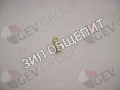 Пружина сжатия 2804013 Winterhalter для GS10-2 / GS12 / GS34 / GS8