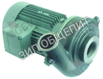Насос 5514011 Winterhalter, AF90L/2C-12, 2,7кВт для GS61 / GR1200 / GR1400 / GR62 / GR62-1