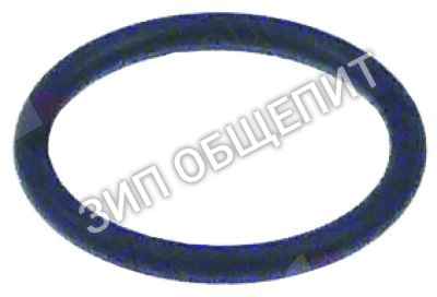 Кольцо уплотнительное 2707072 Winterhalter для GS501 / GS502 / GS515