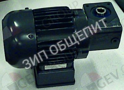 Мотор-редуктор 3116090 Winterhalter для STR