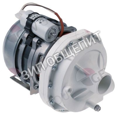 Помпа EPR2046 / ZF270VDX LGB, 0,6кВт (230В)