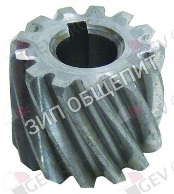Шестерня F2104 малая для мясорубки APACH /22 TI/TS 